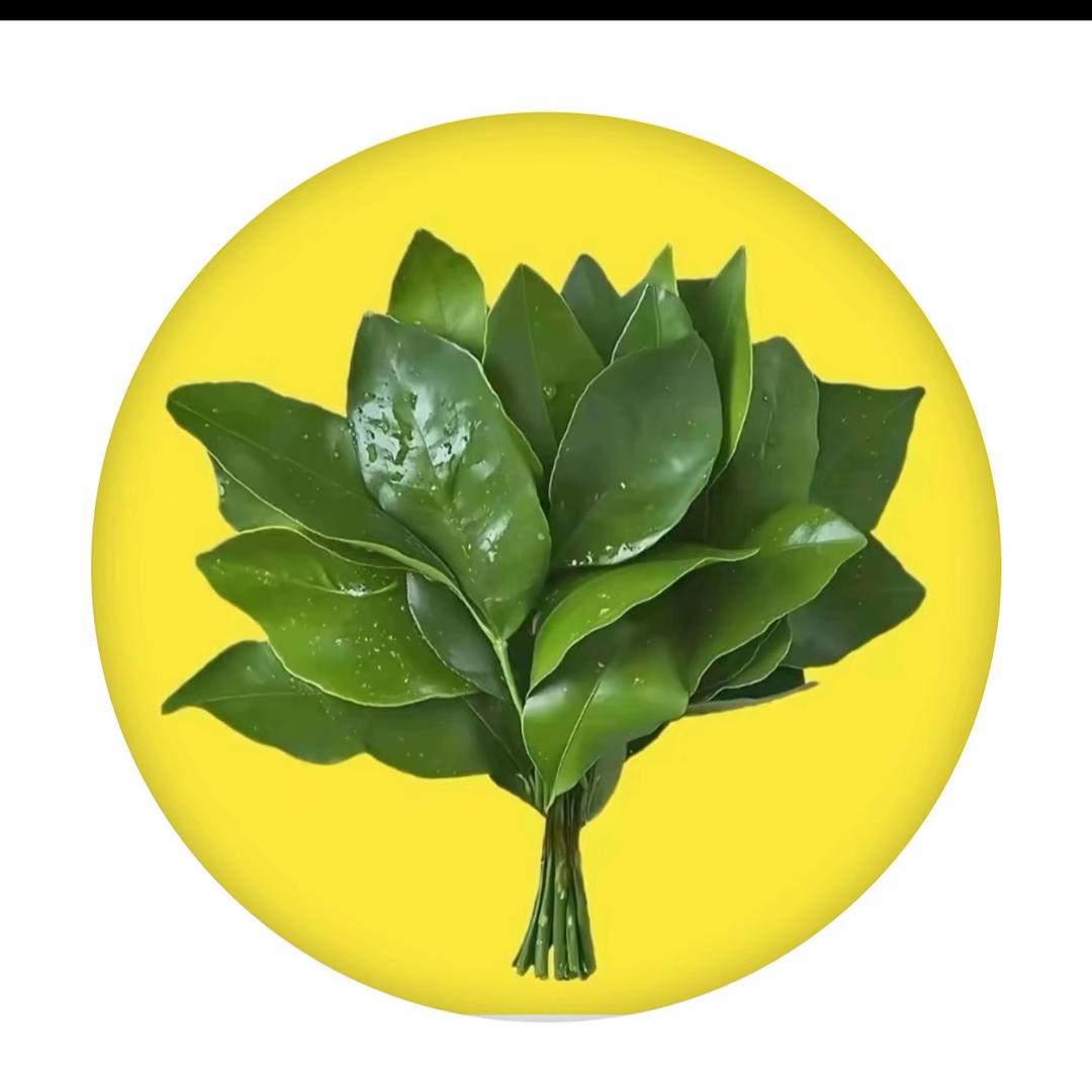 👑💞ꦿꦿ十七🍀👑