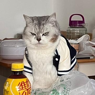 啤の养殖日常