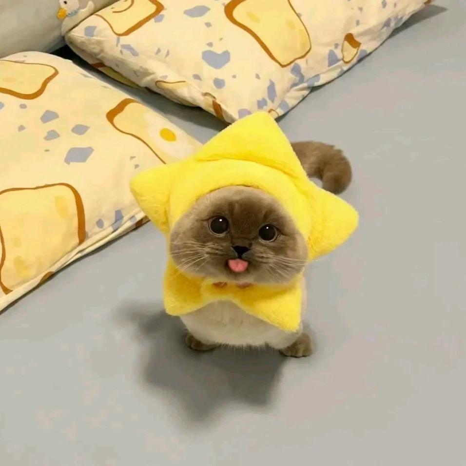一三七