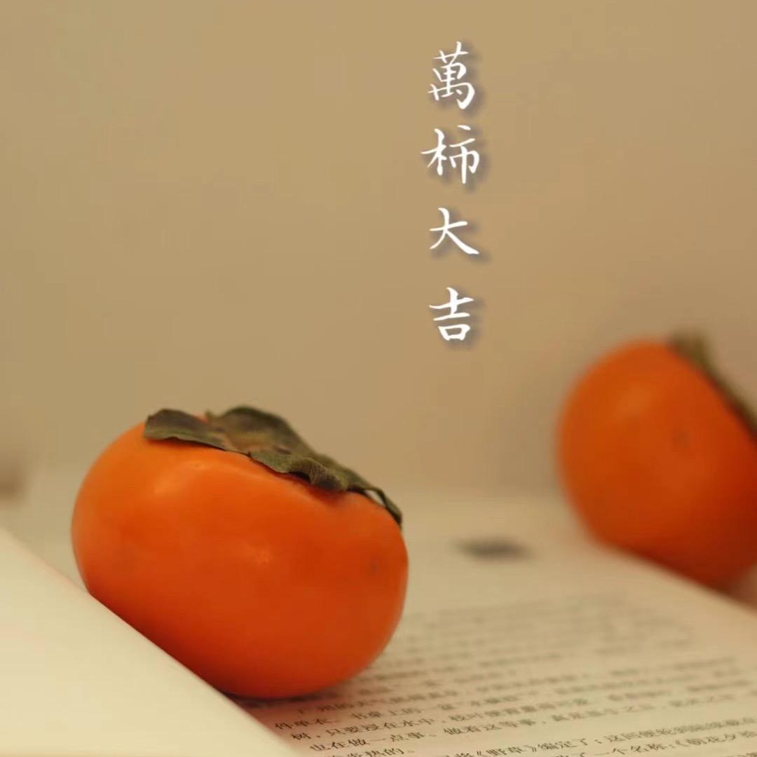 @大龙优选🔥
