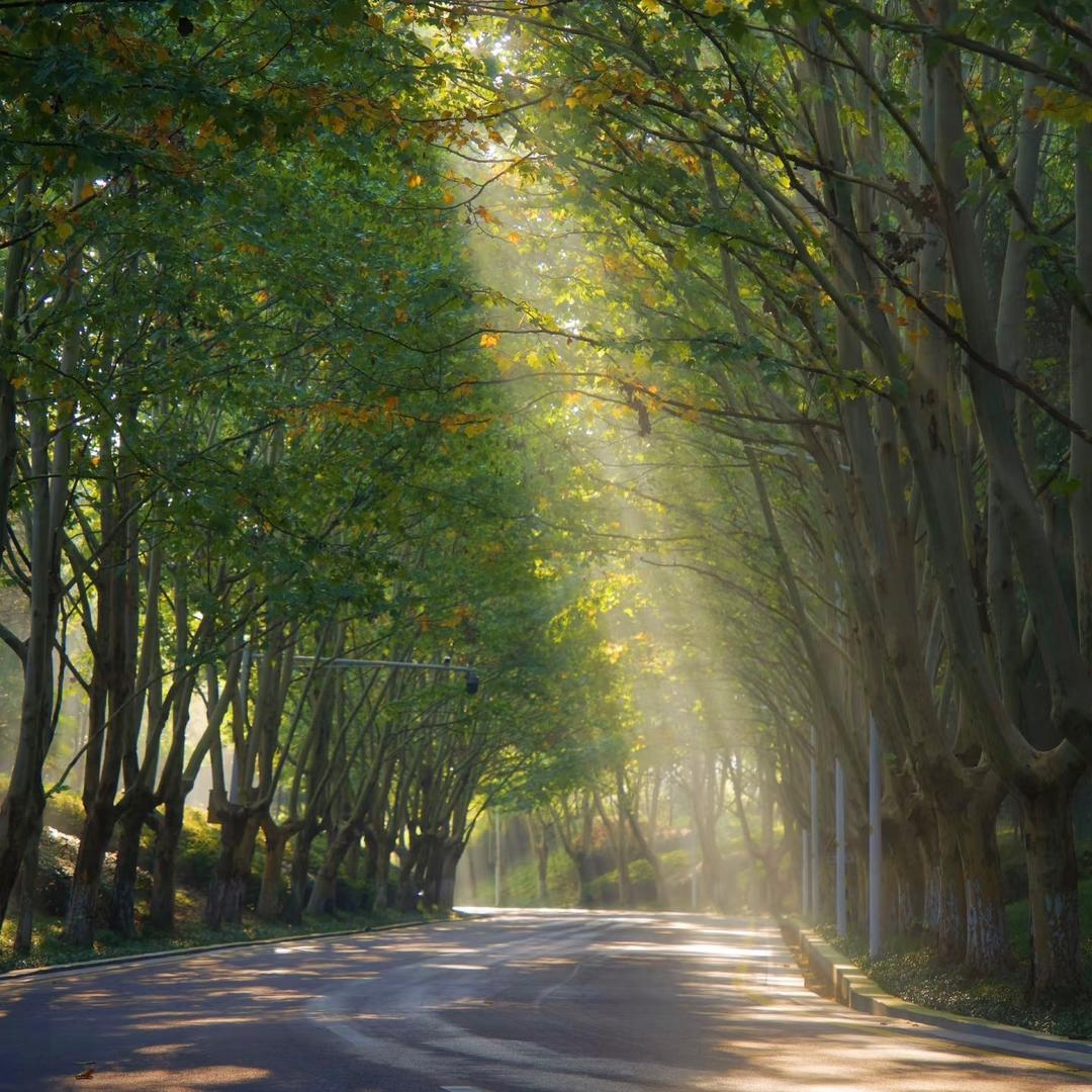 达达-爱出者爱返