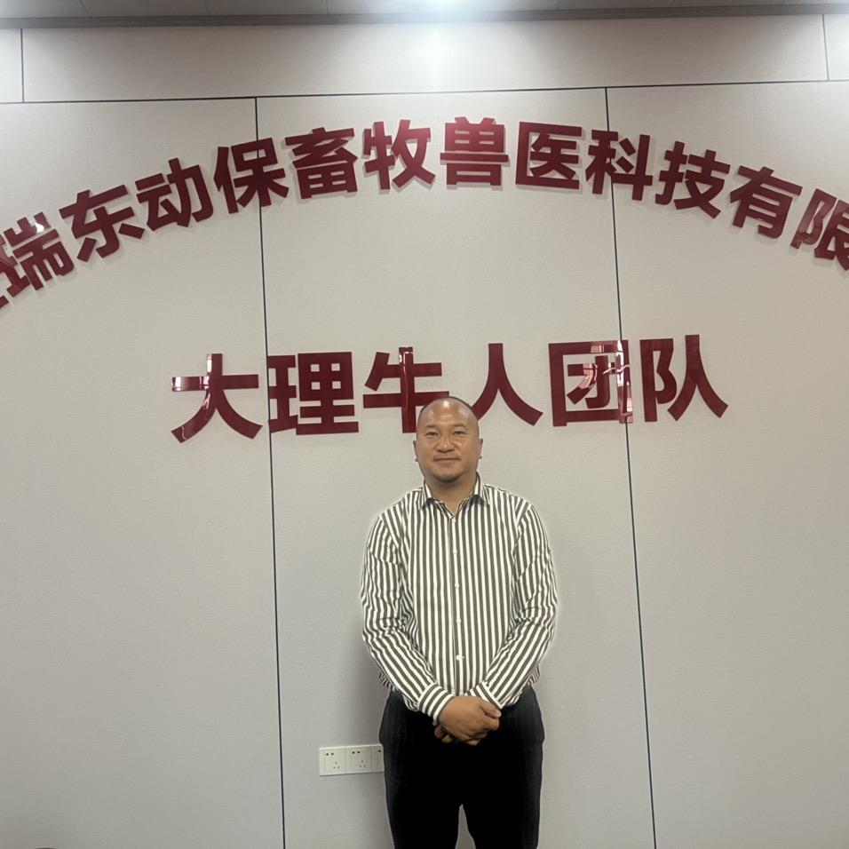 大理牛人杨老师团队大动物诊疗