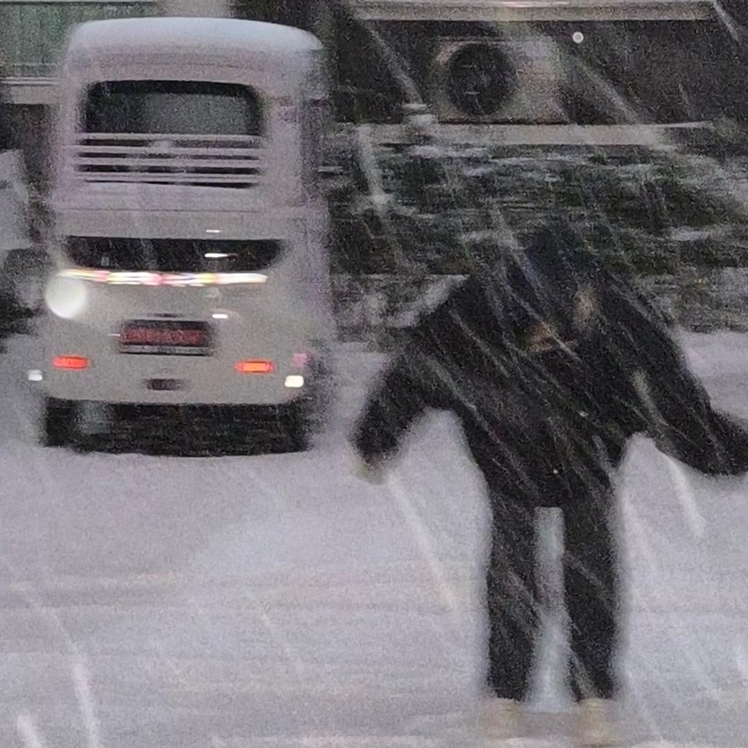 年年和饺子～〔Ꮤ〕