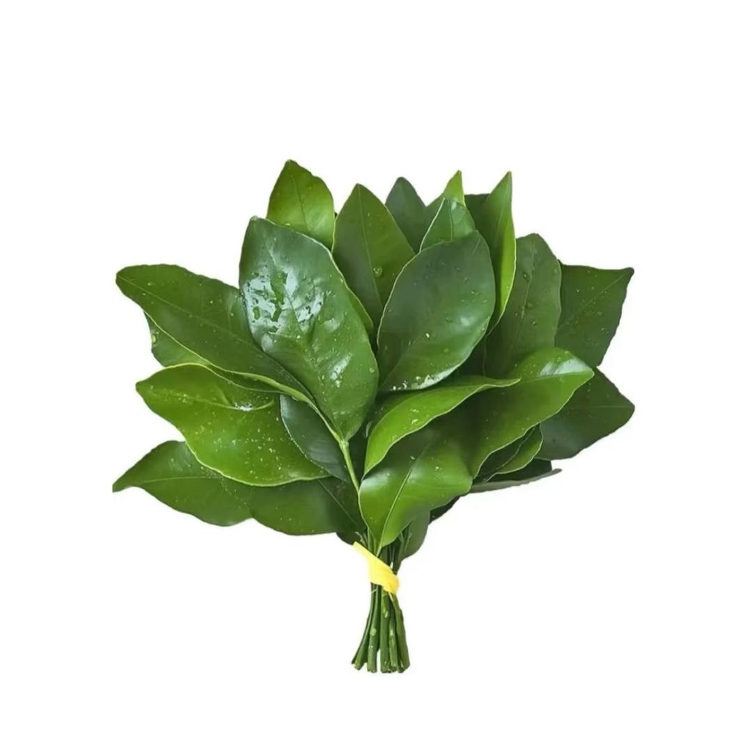 小u梨