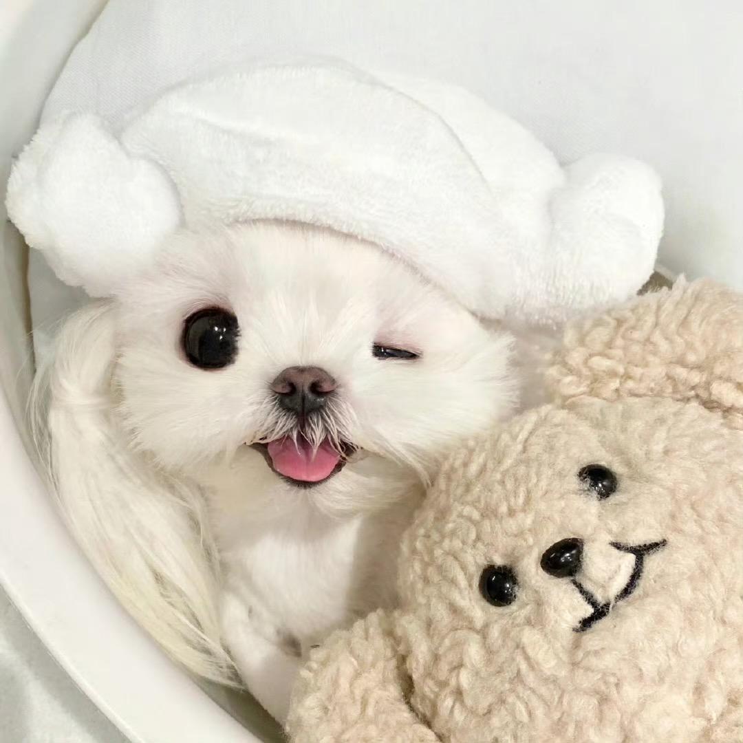柒柒早点睡