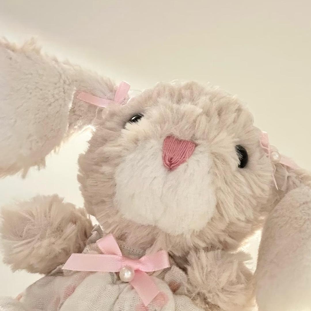 兔叽咕噜🐰