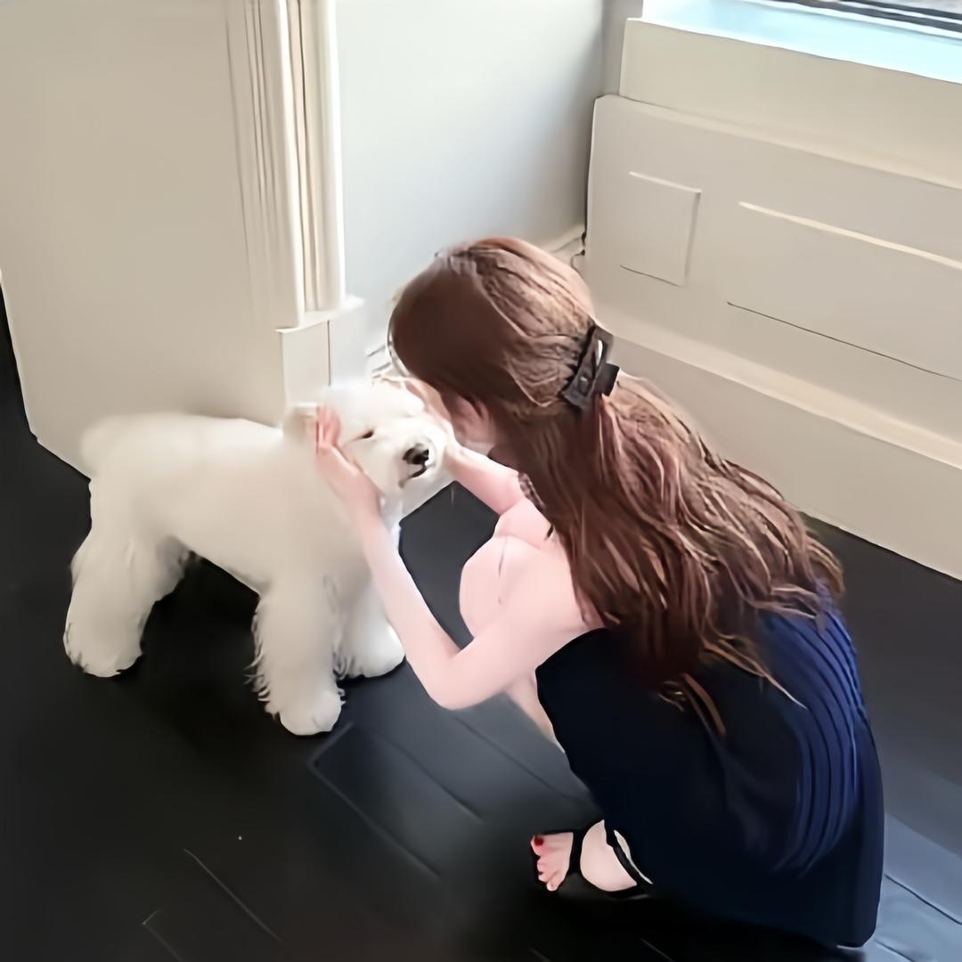 忆