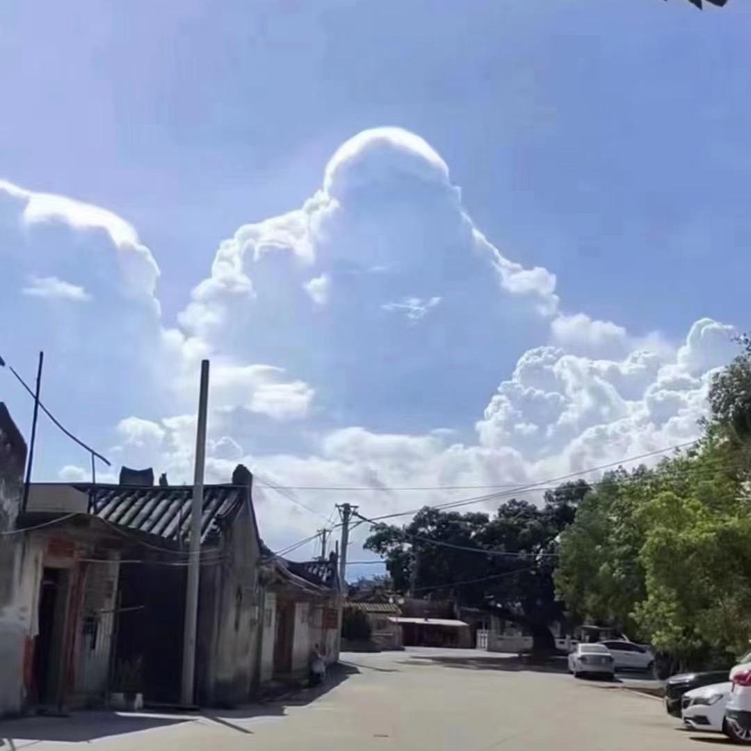 潮汕老杨