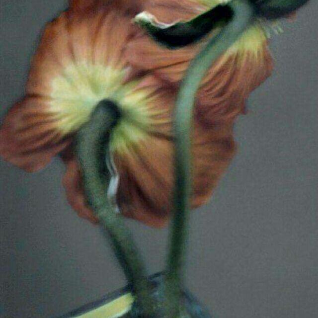 黑甜