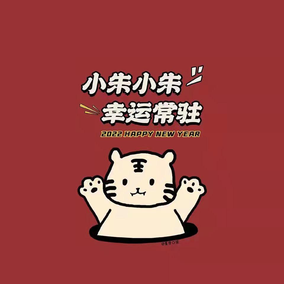 会飞的猪