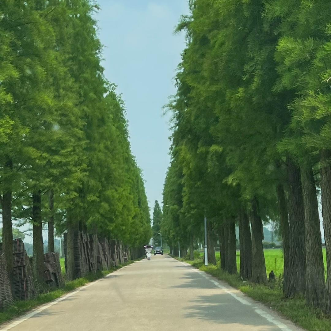 团团……