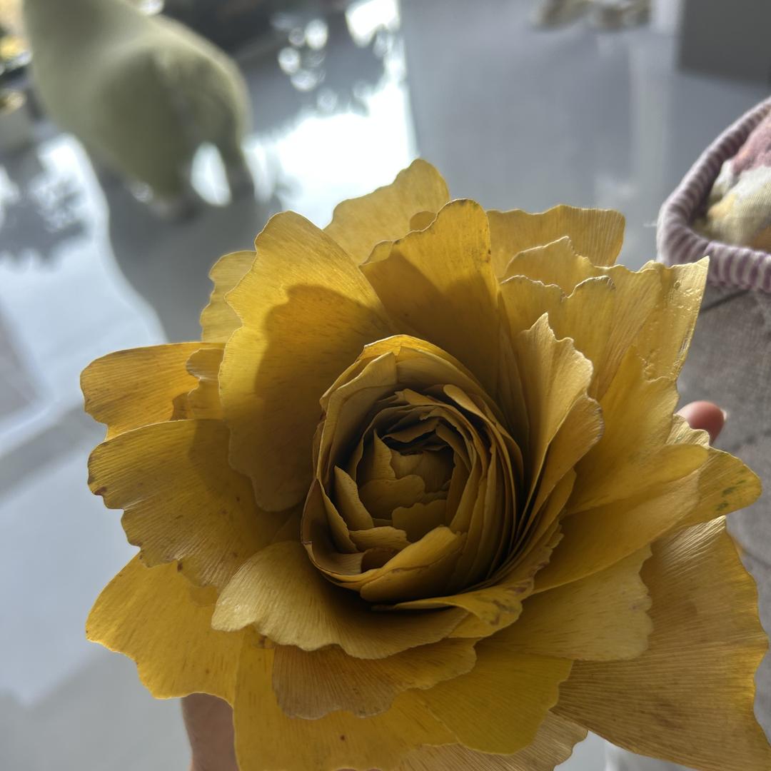 《小甜甜》紫云永信二手车