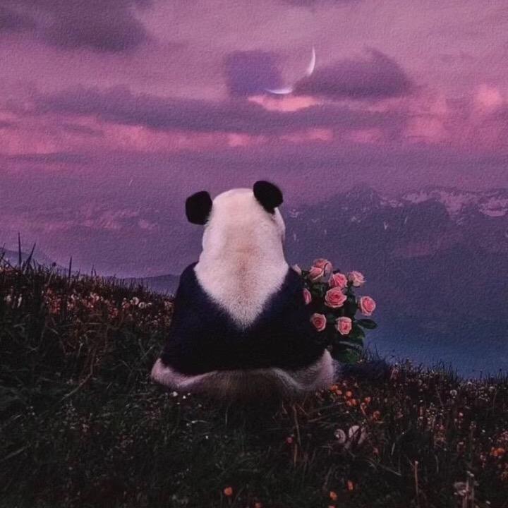 see you
