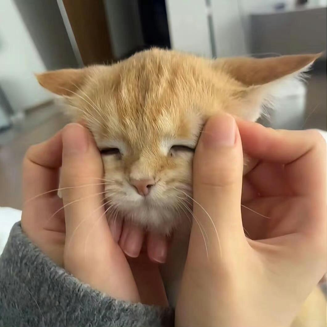 有点饿^