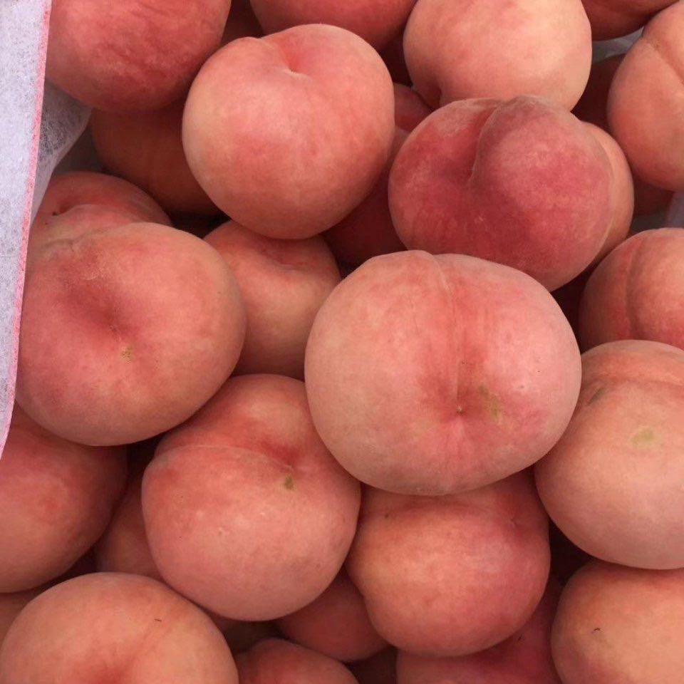 peachhhhhhli