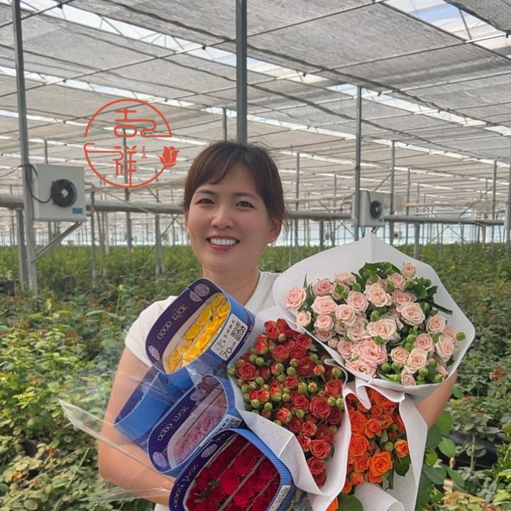 山东吉祥玫瑰基地