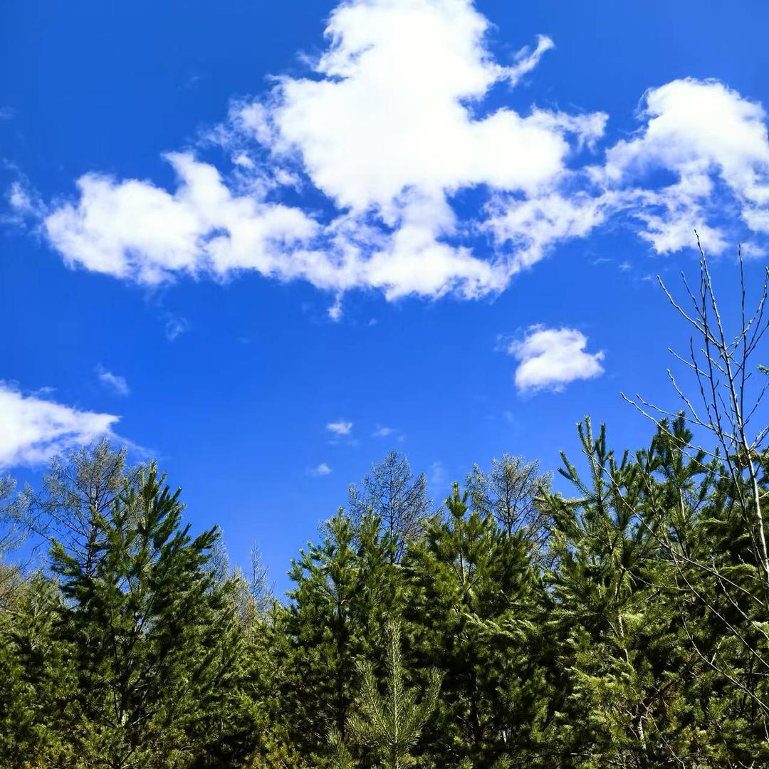 親愛精誠（避暑小院）