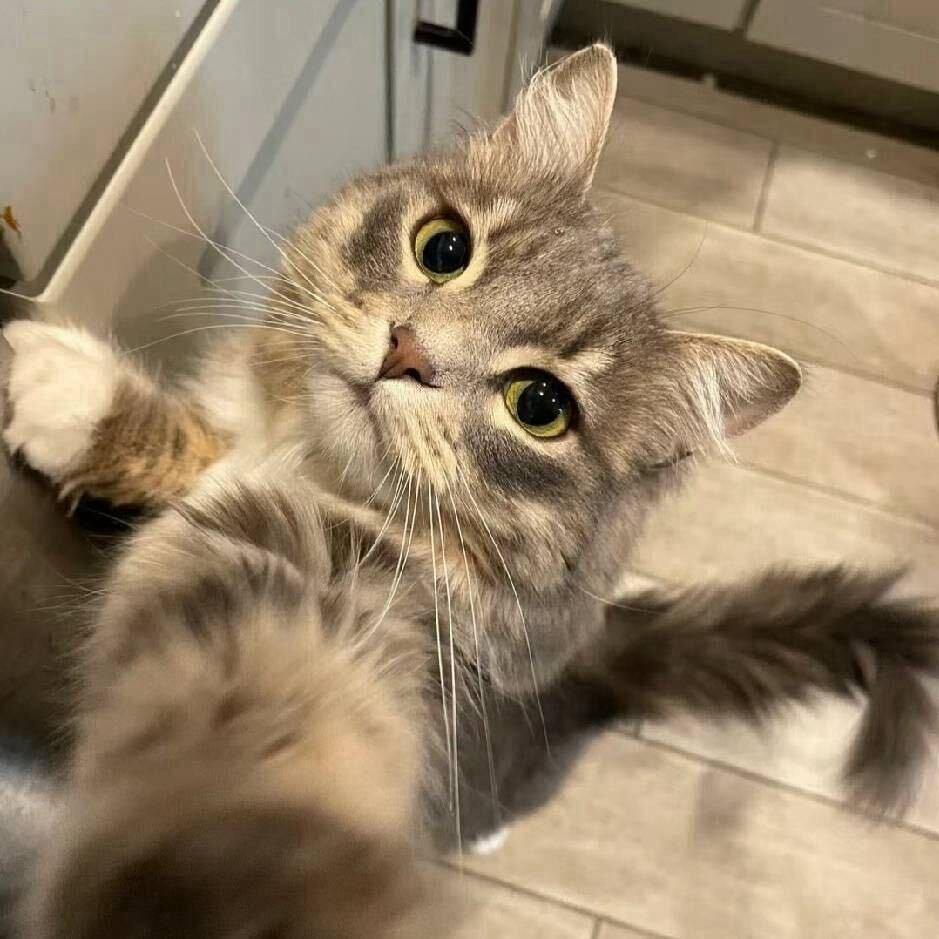 不静（暗区突）