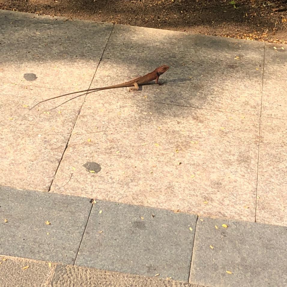 路人乙