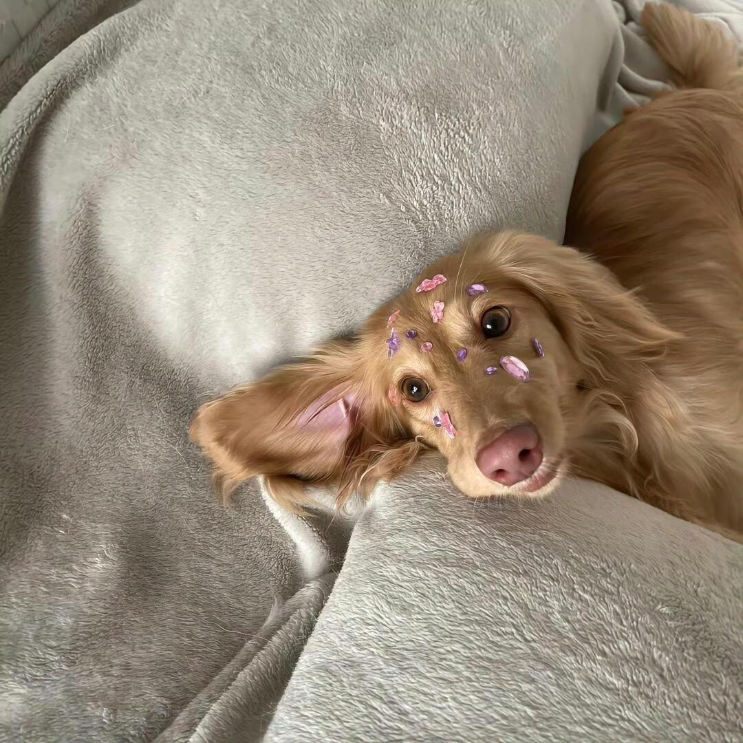 我好饿a
