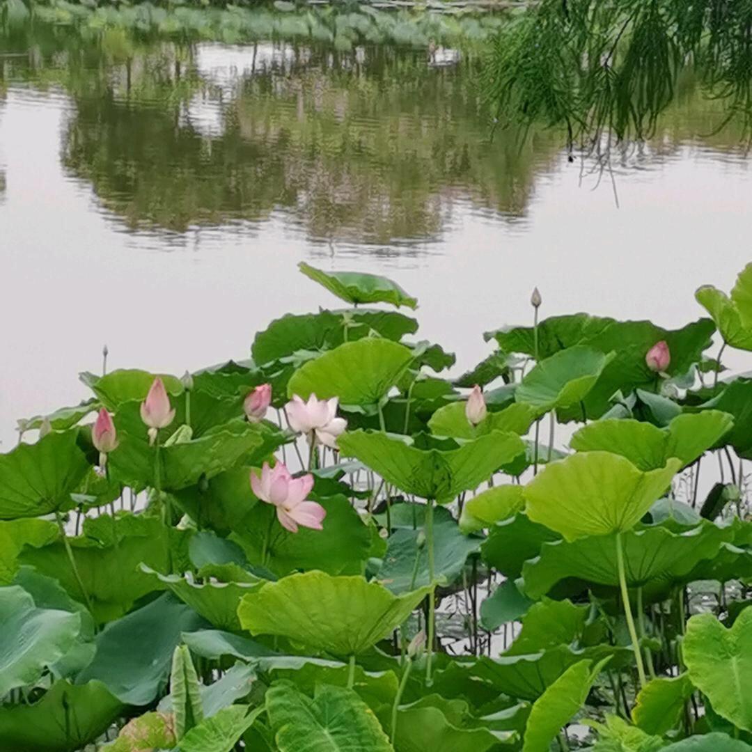 做个开心的人
