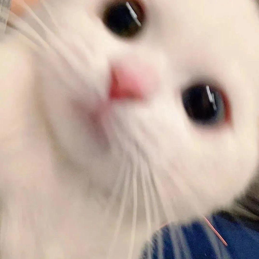 麻辣小宁