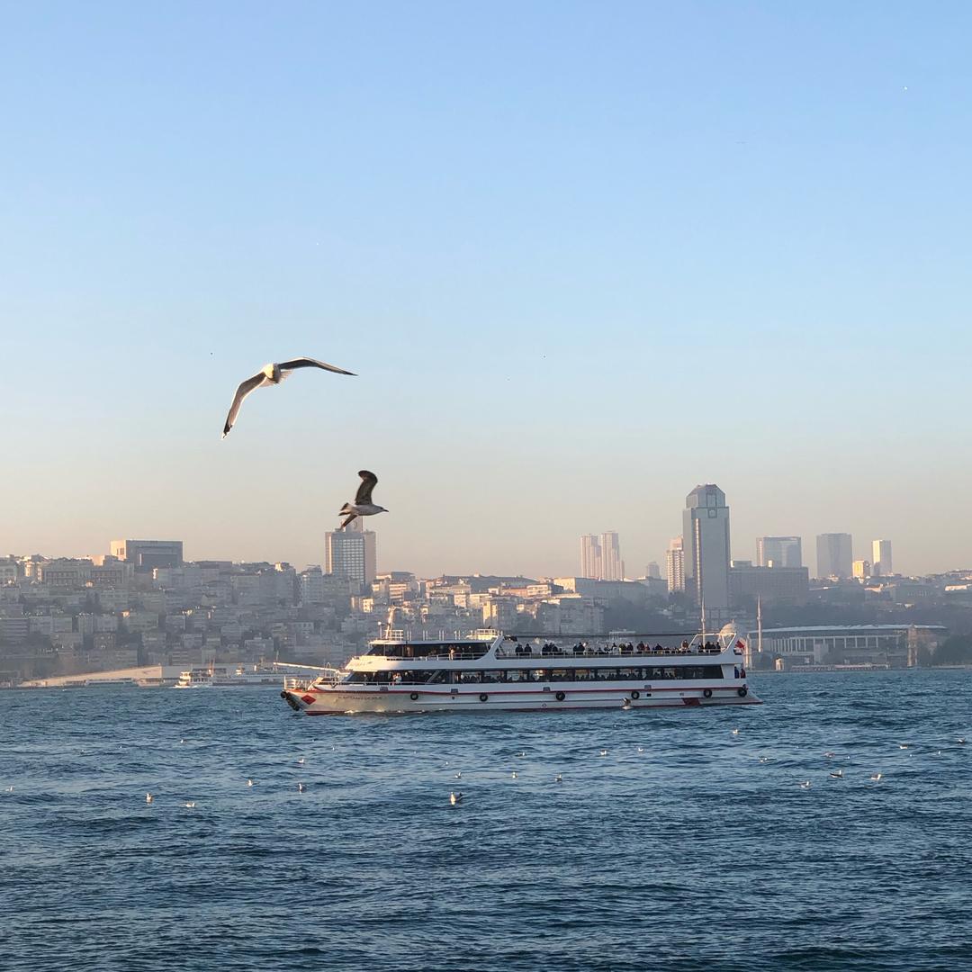 苏莱曼𝑺𝑼𝑳𝑨𝑰𝑴𝑨𝑵