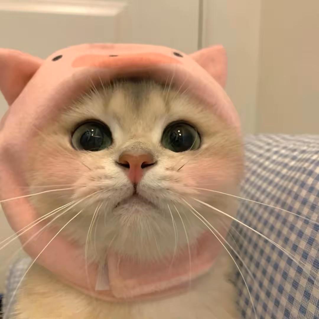 北上广.