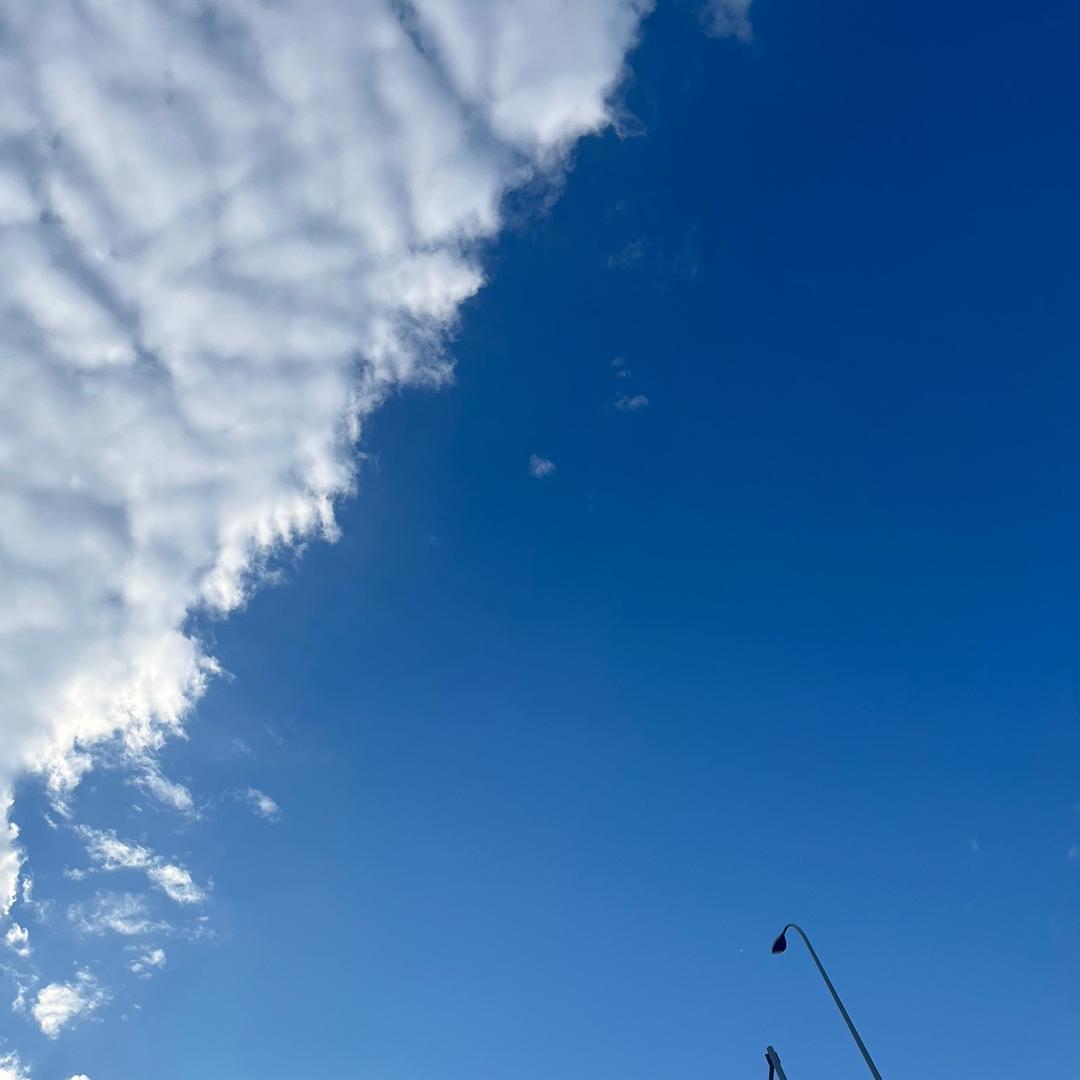 兜有米