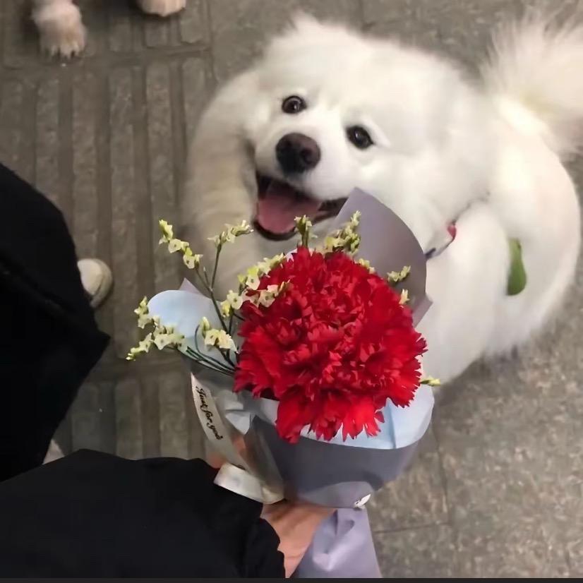 LI YAO❤️