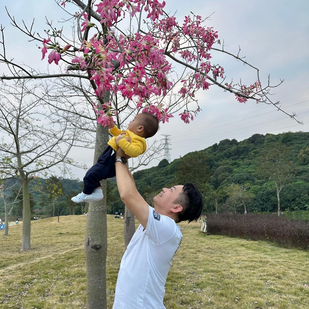 快到我碗里来🐾