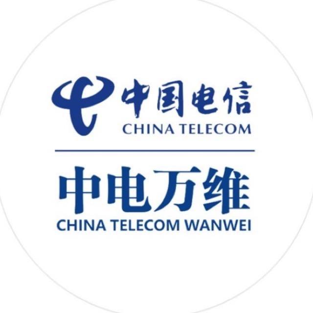 中电万维