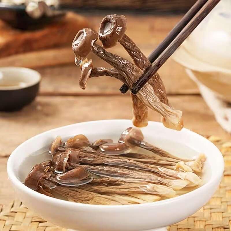 古田高山鹿茸菇