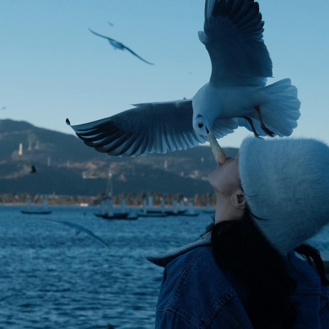 熏熏今天瘦了吗