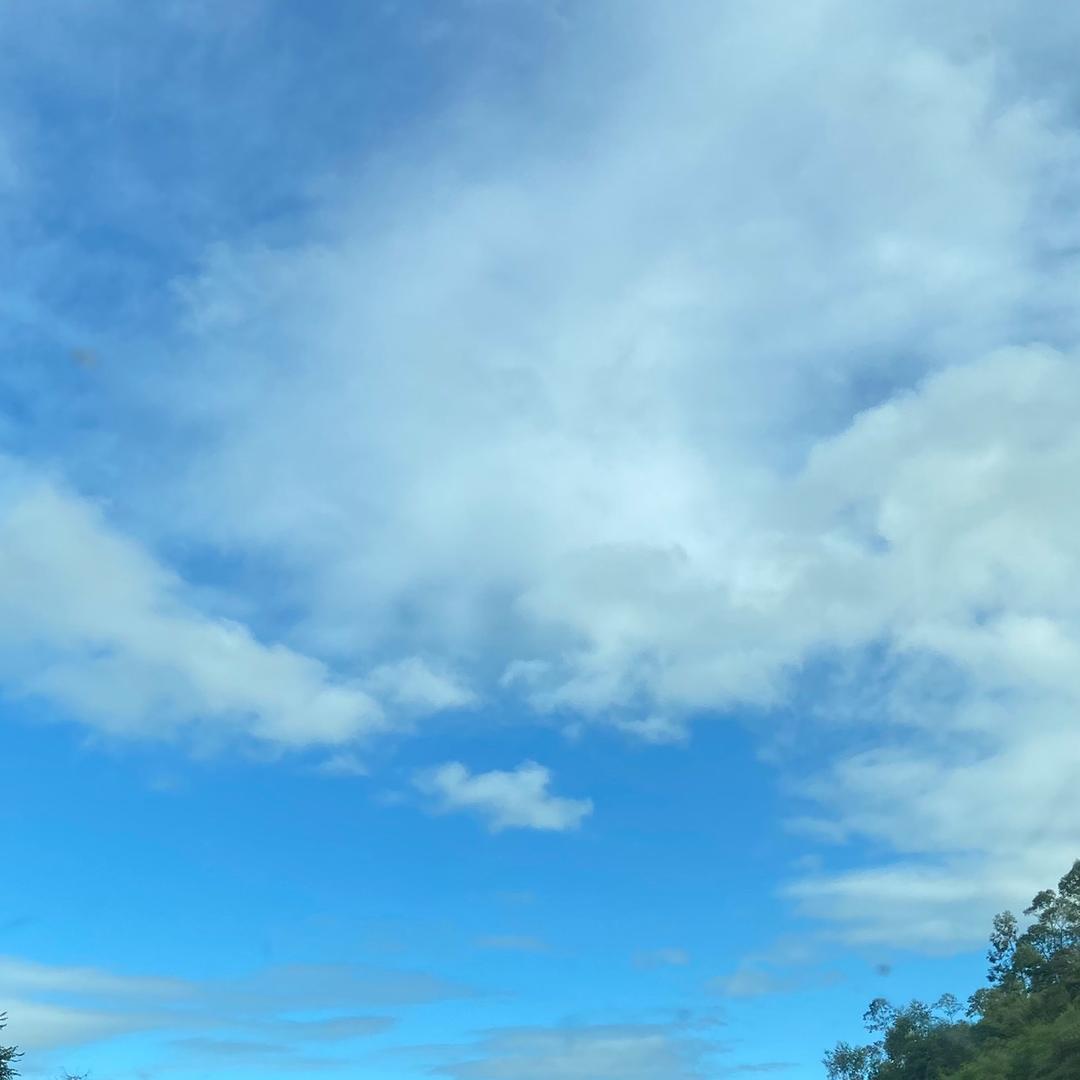 包包真棒