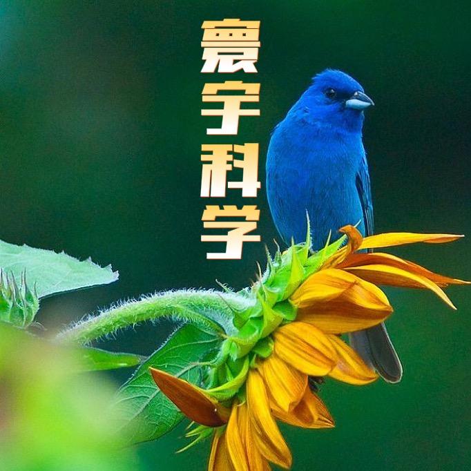 寰宇科学