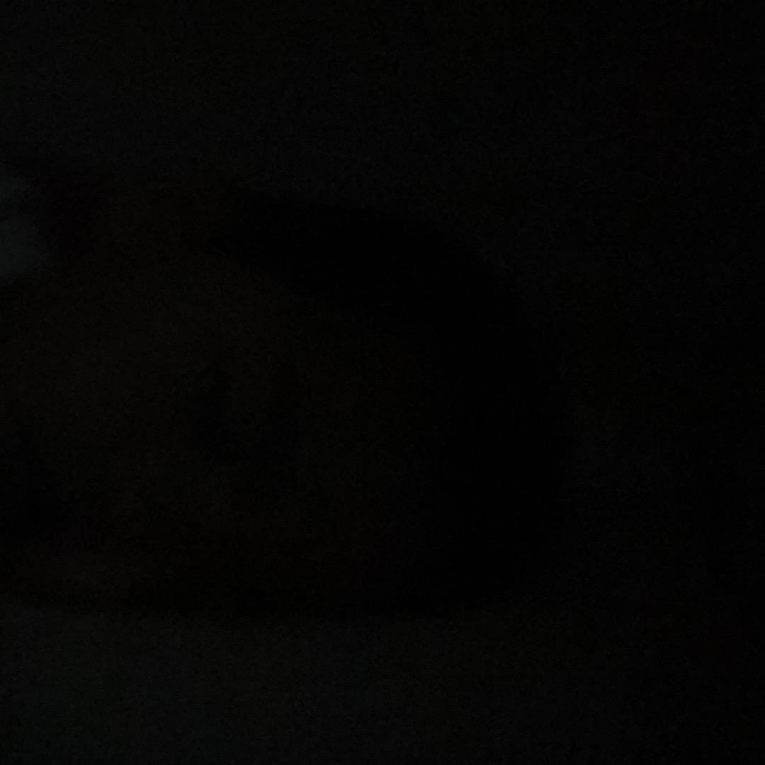 瘦瘦_