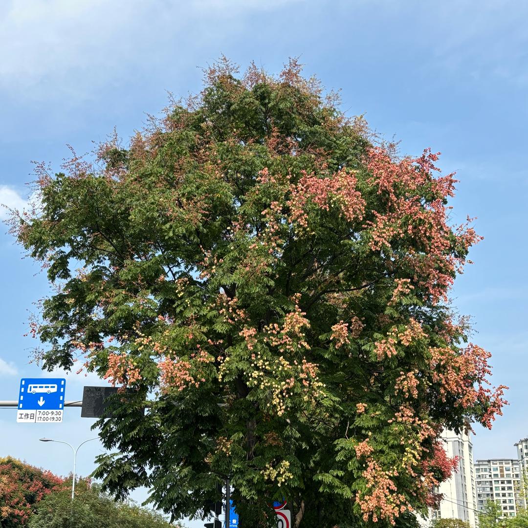 🌙乐乐的生活日记