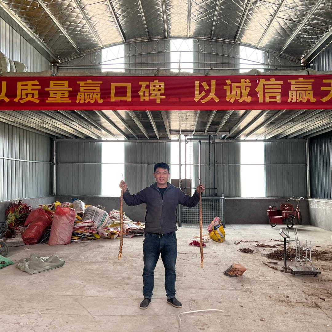 温县怀涛种植合作社