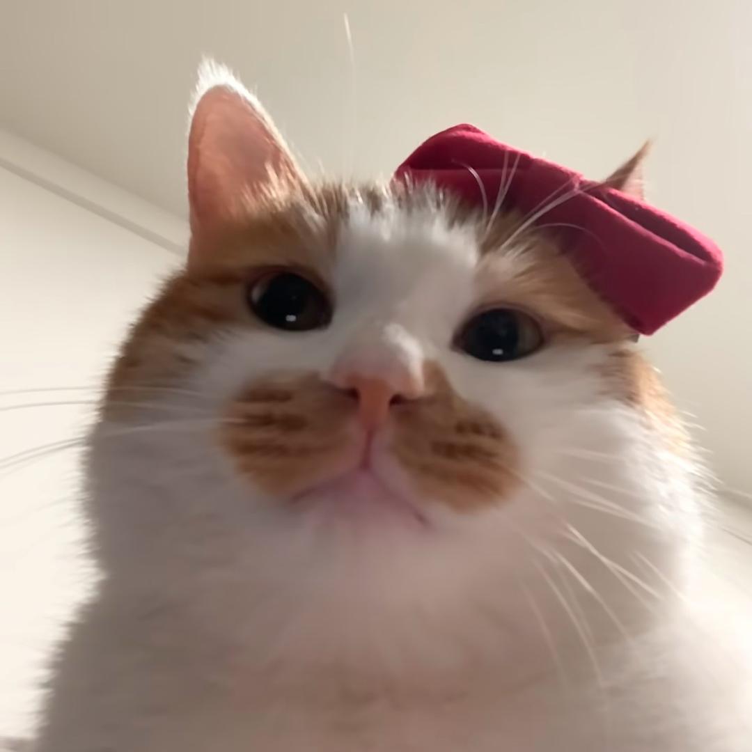 嗯嘟