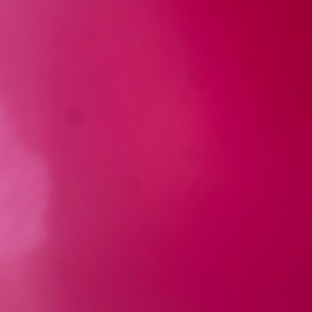 出水芙蓉_246473463