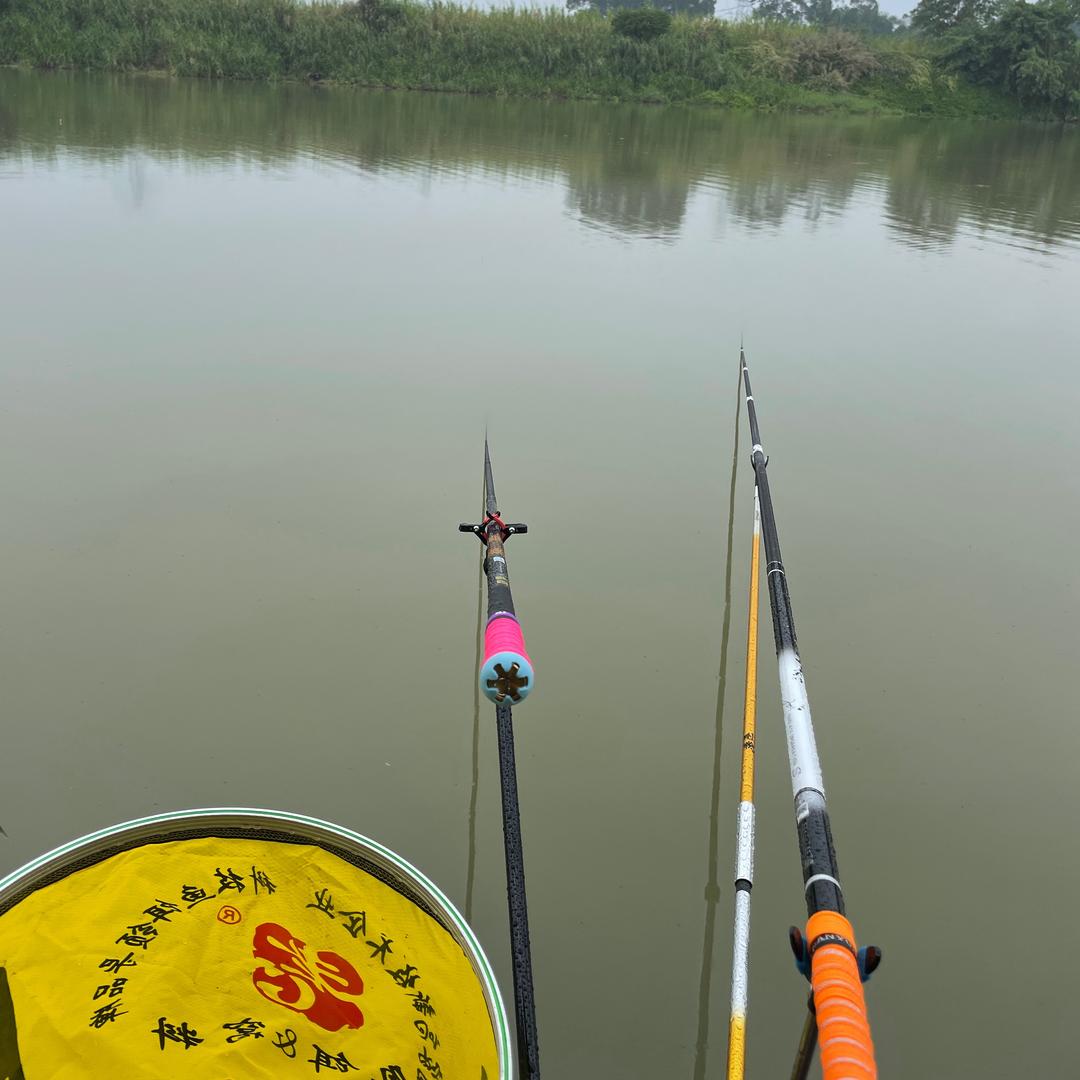 牲口钓鱼🎣🎣🎣