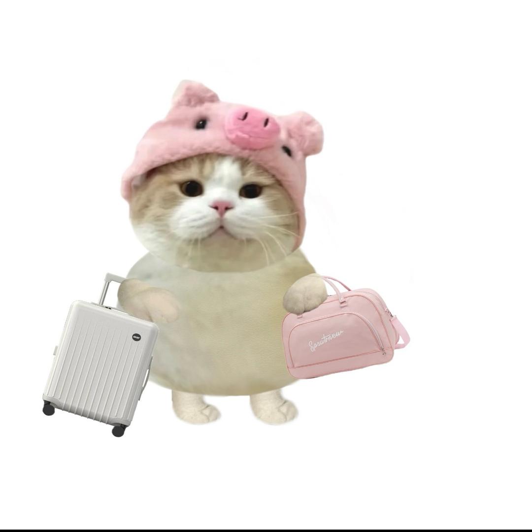 蛋挞女王👸