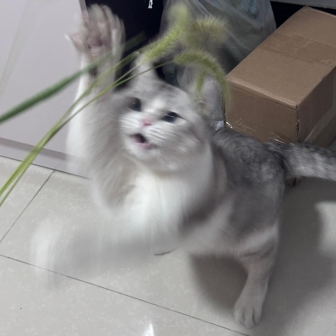 宝 、