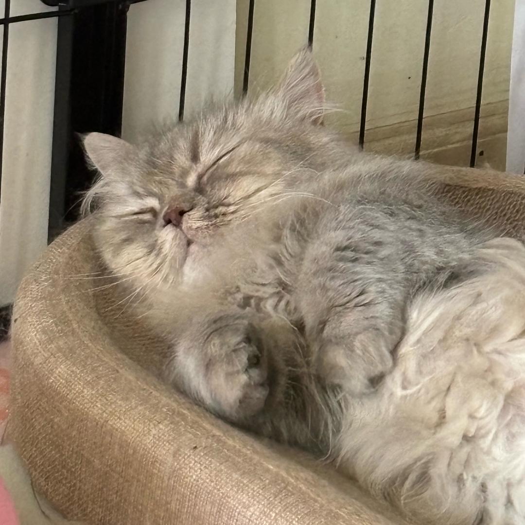 一碗中辣螺蛳粉