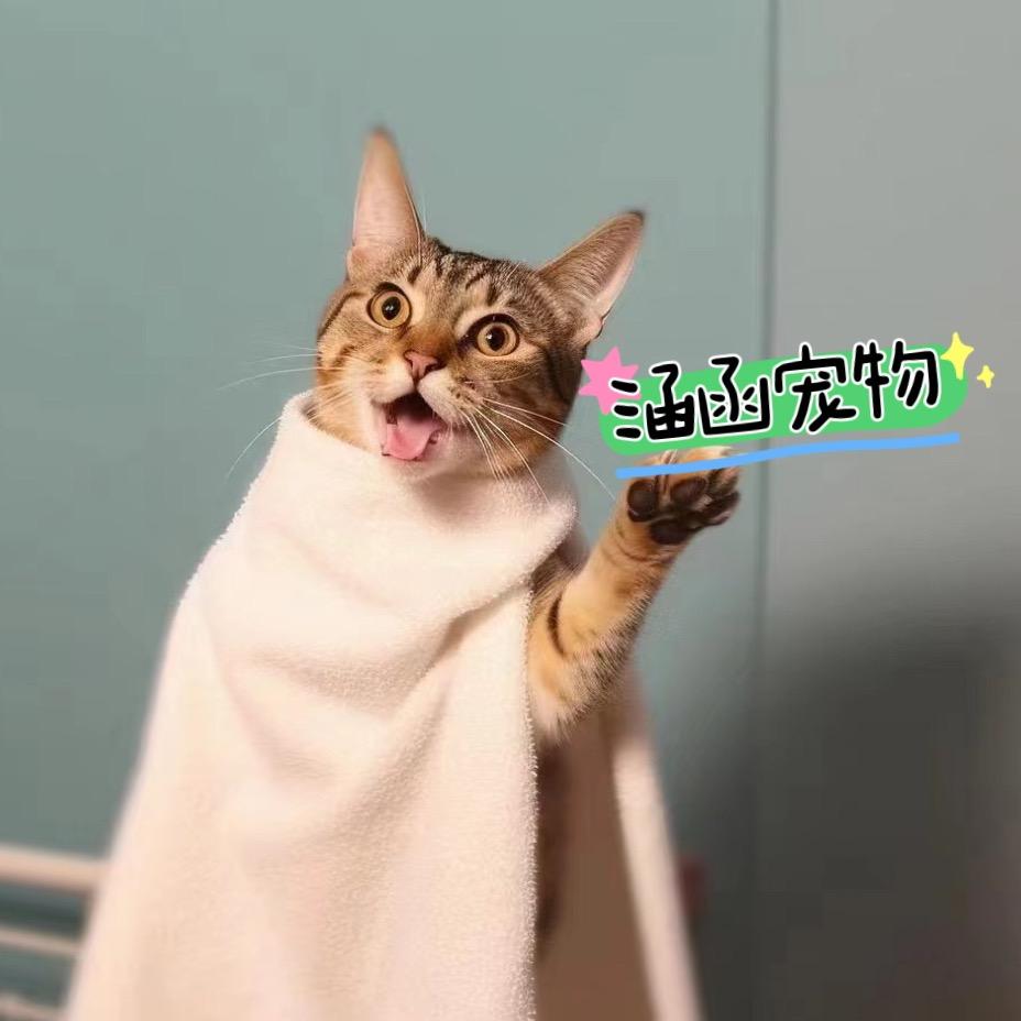 涵函宠物生活馆