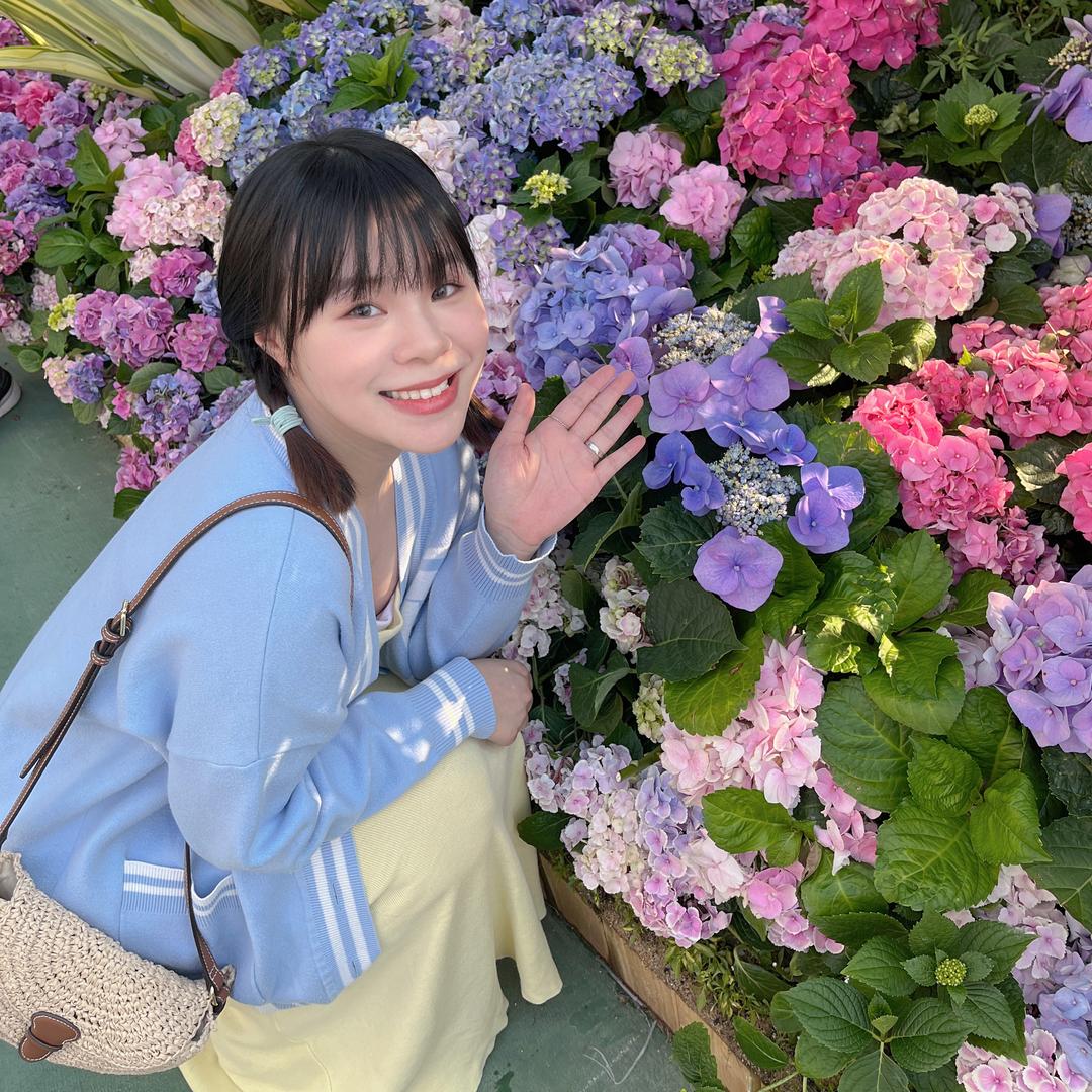 小猪piggy