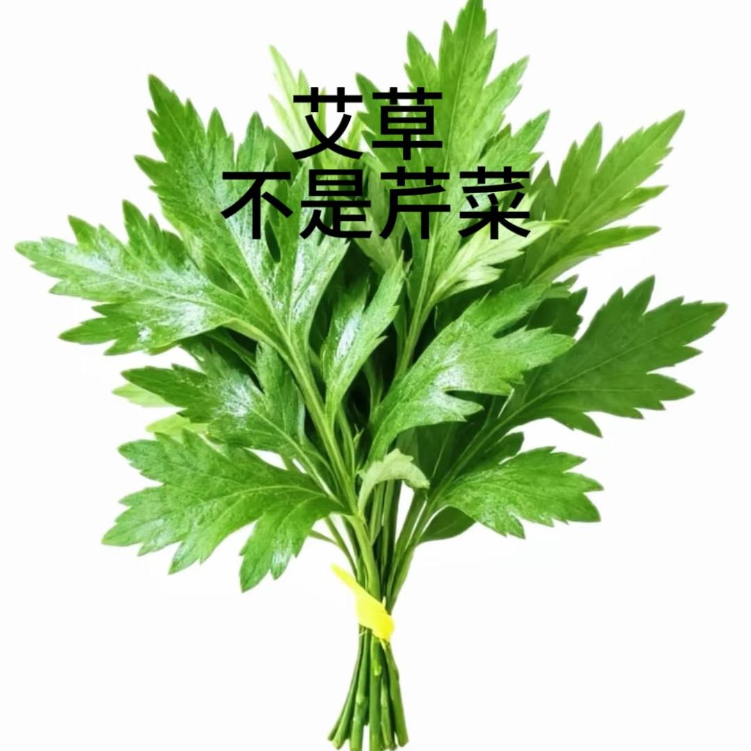 长夜.⭐