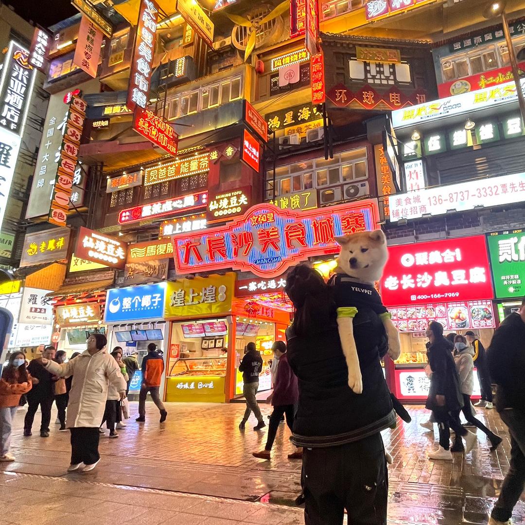 mr.张大大