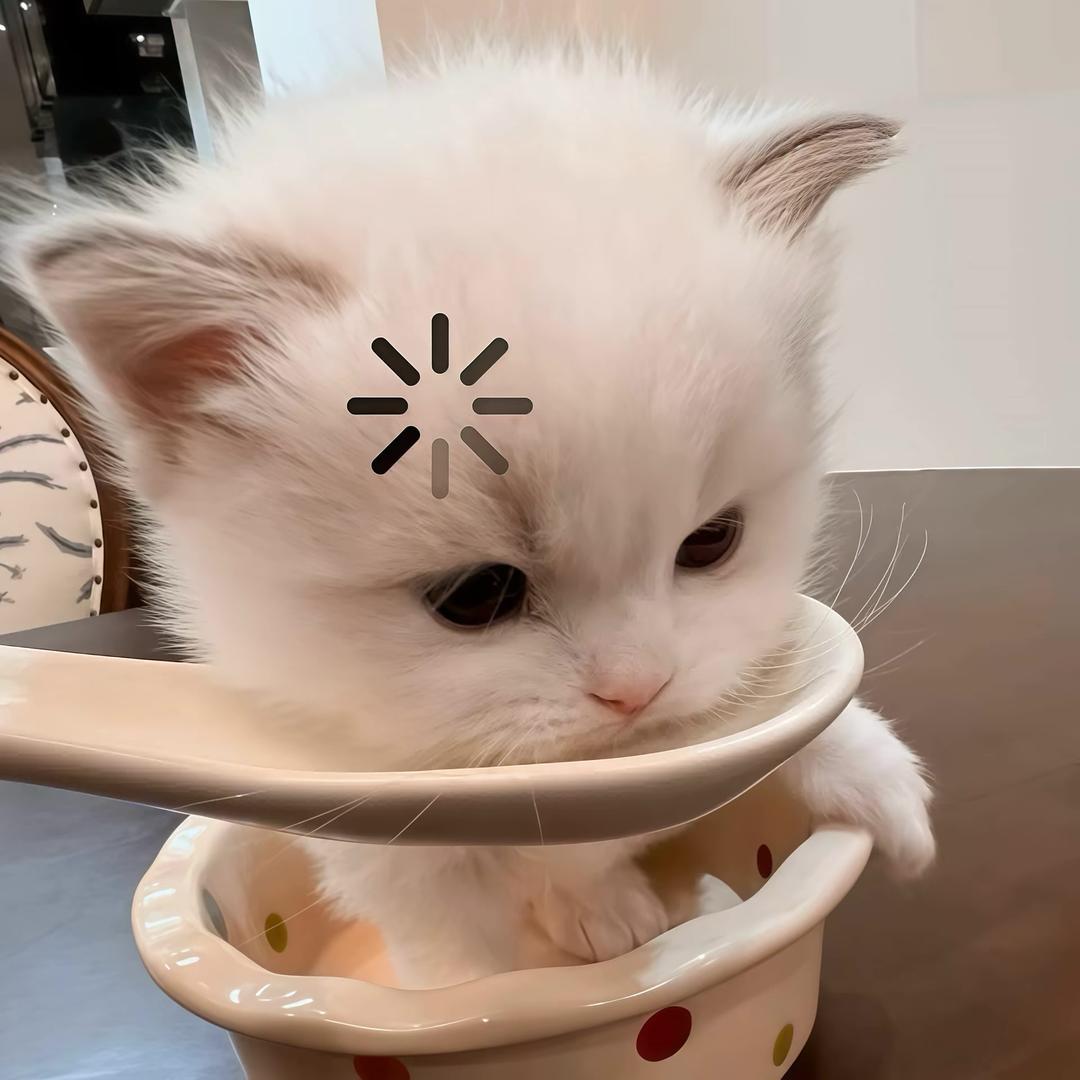 ᴗ